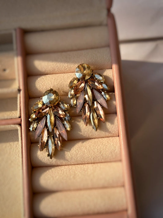 Shampion  earrings CC-67